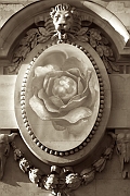 Wall_Art_Alphabet_Photography_Art_ 1674